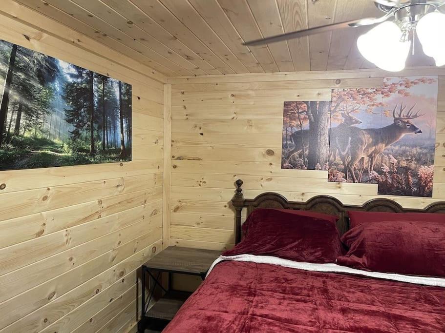 Creekside 3 Bedroom 2 Bath Cabin On Private Creek Банър Елк Екстериор снимка