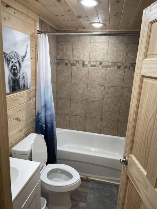 Creekside 3 Bedroom 2 Bath Cabin On Private Creek Банър Елк Екстериор снимка